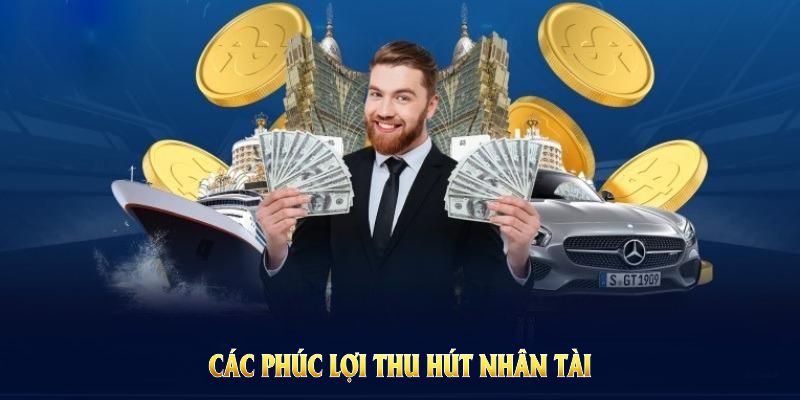 Các phúc lợi thu hút nhân tài trong tuyển dụng OK365 2025